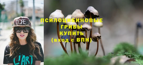 трава Абдулино