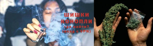 ПСИЛОЦИБИНОВЫЕ ГРИБЫ Абаза