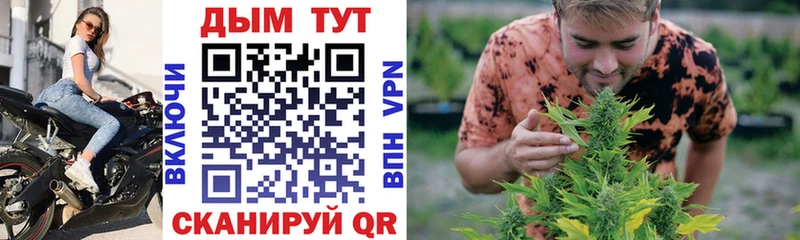 купить   Тарко-Сале  Каннабис конопля 
