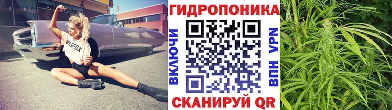 Марихуана гибрид Тарко-Сале